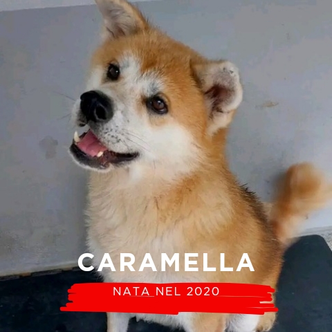 CARAMELLA