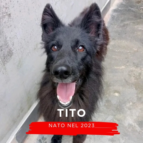 TITO